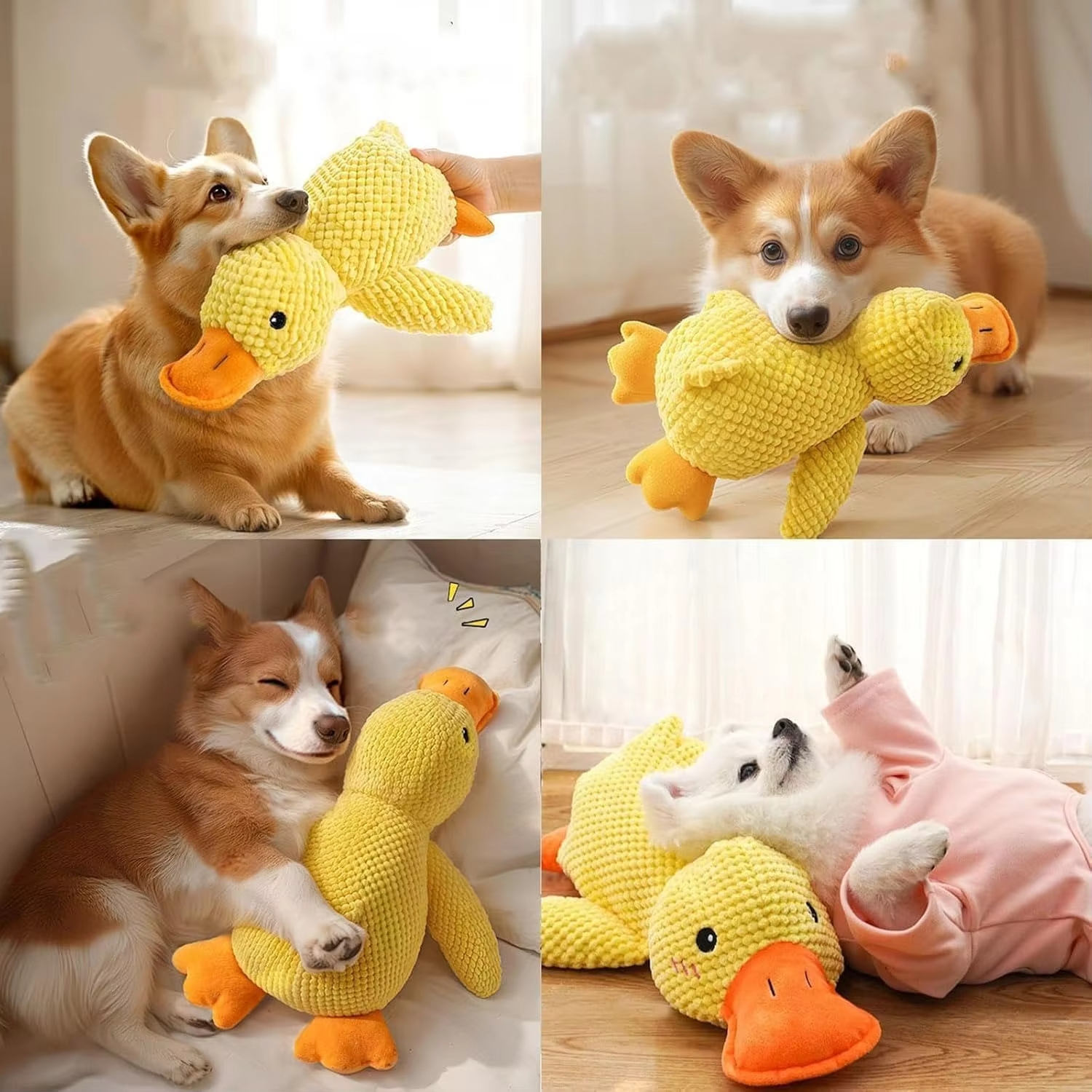 Duck Dog Toy Plush Chew Resist - Board Game Quacks avis et prix
