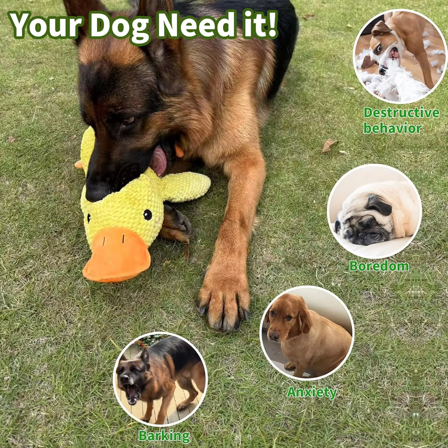 Duck Dog Toy Plush Chew Resist - Board Game Quacks avis et prix
