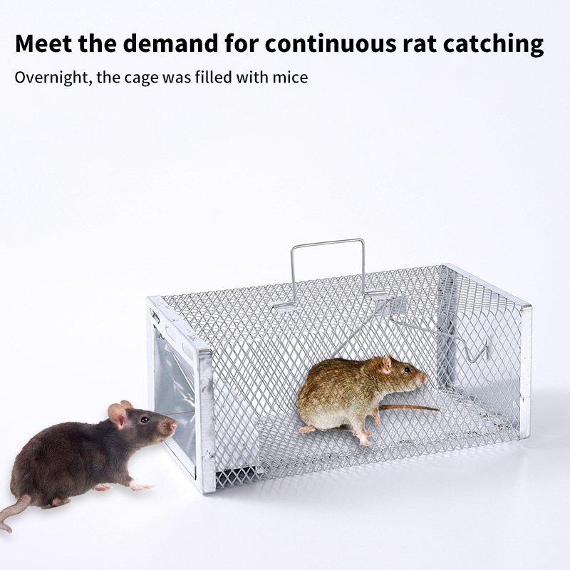 New Multi-Catch Rodent Mouse T - Board Game Quacks avis et prix