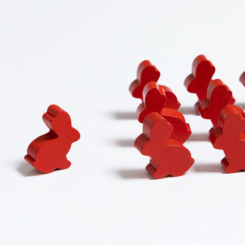 100PCS Cute Rabbit Meeple, 25m - Board Game Verdant avis et prix