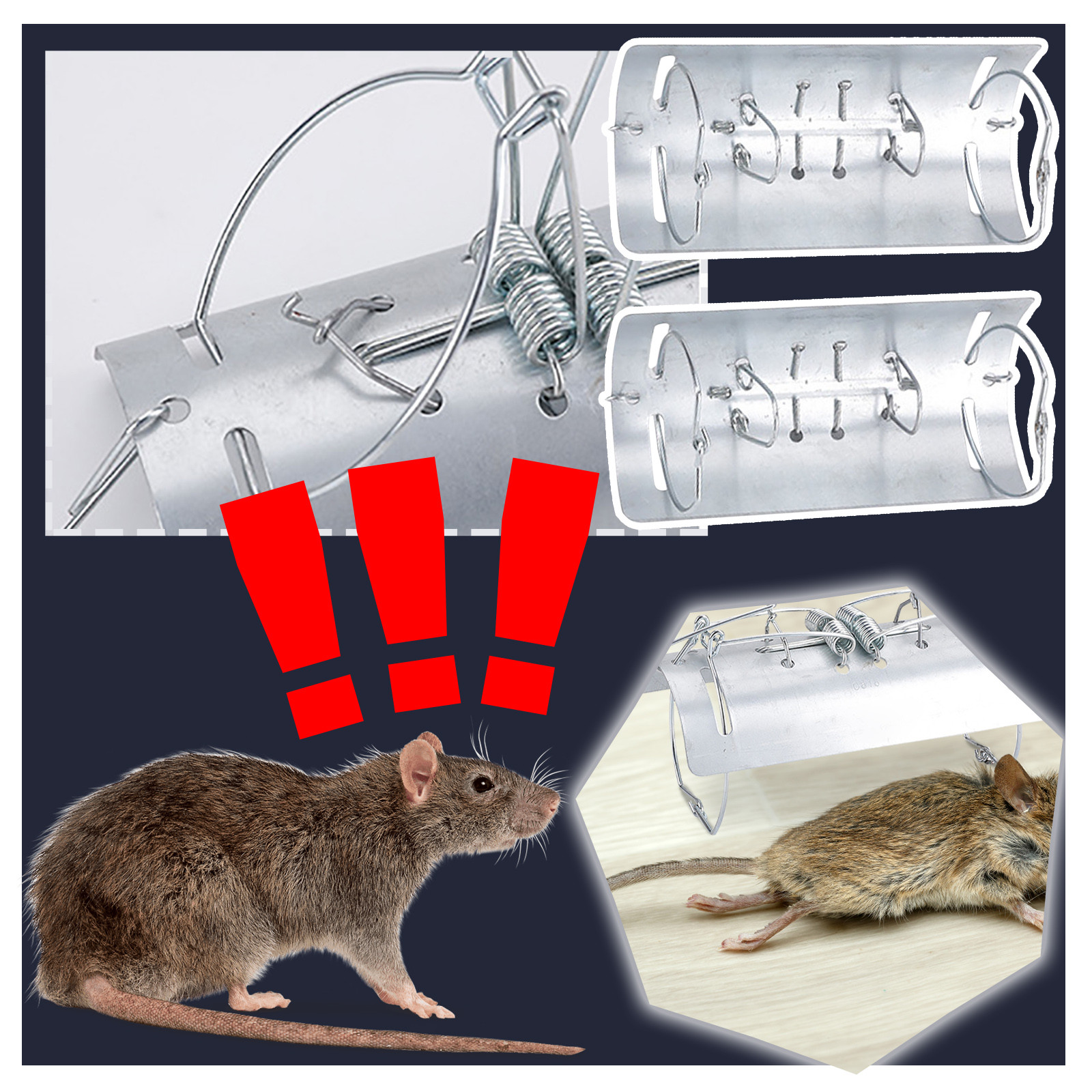 1pc Mole Trap Tunnel,Mole Clip - Board Game Quacks avis et prix
